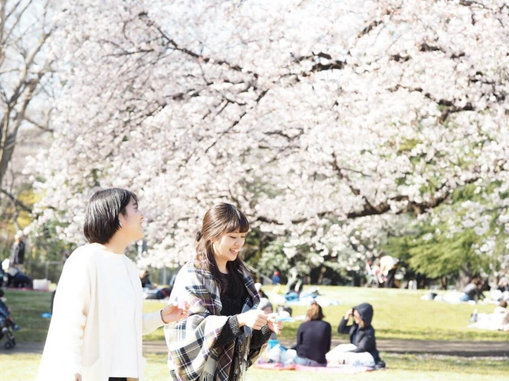 今週末はぜひお花見に！！地元・横浜と世田谷のお花見スポットに行ってきました 写真8