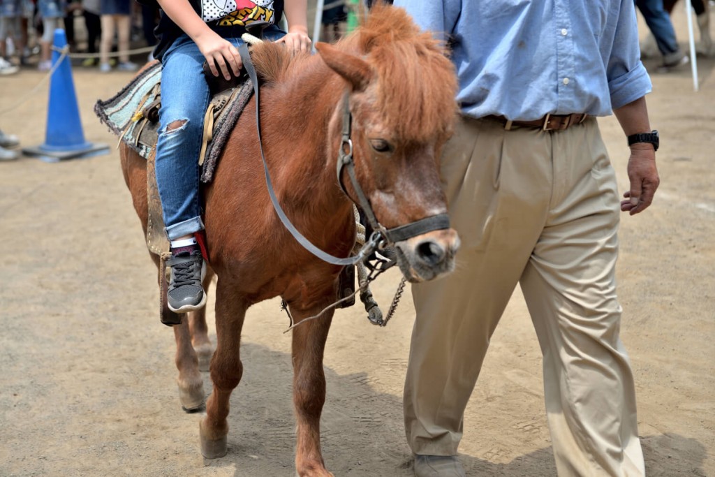 横浜市港北区の憩いの場・綱島公園の移動動物園！写真②