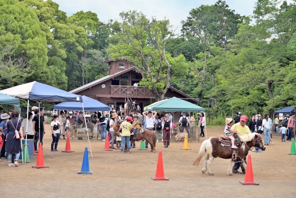 スタッフよもやま日記「横浜市港北区の憩いの場・綱島公園の移動動物園！」