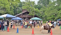 横浜市港北区の憩いの場・綱島公園の移動動物園！