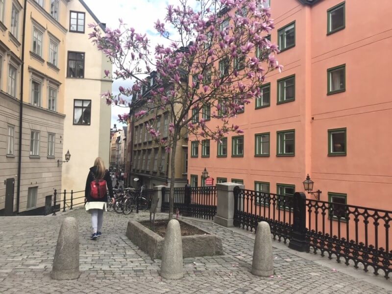北欧3か国旅行記　～スウェーデン～　歴史のある建築物と街並み 写真12
