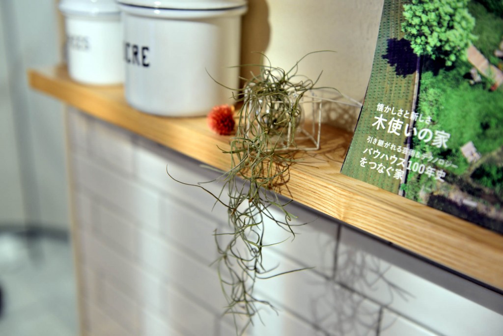 【植物日記】新宿御苑「大温室」をのんびり散歩してきました。写真5-2