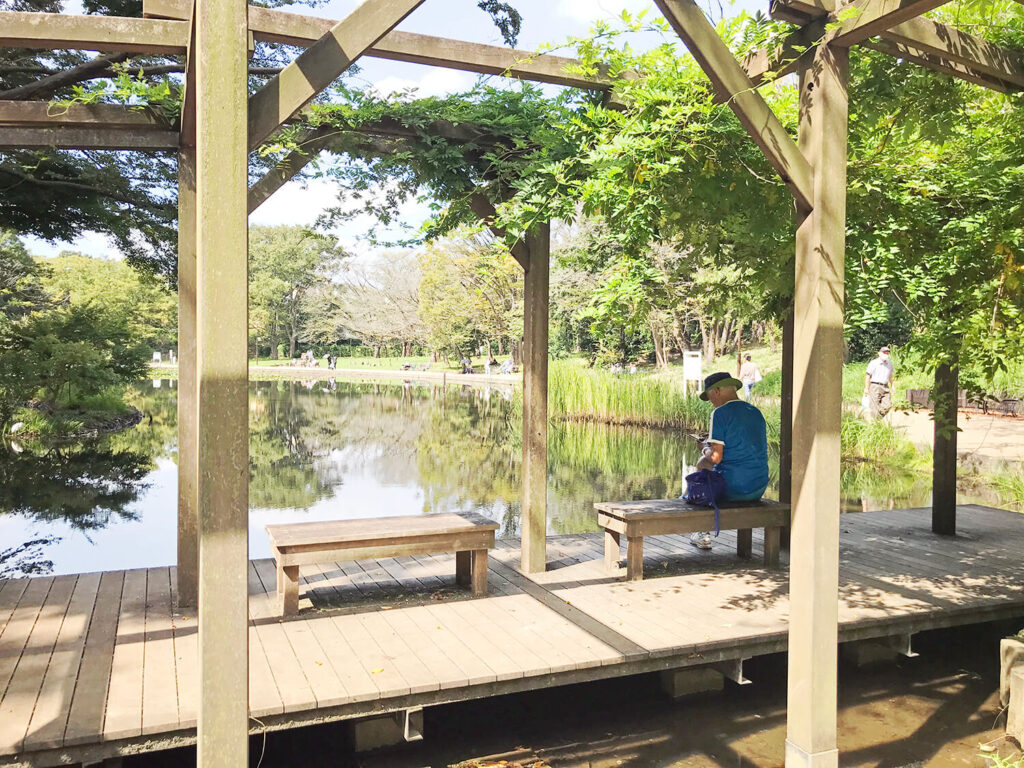 気になる街のご紹介【#横浜・都筑区】住みやすい街・港北ニュータウンの魅力とは？写真3