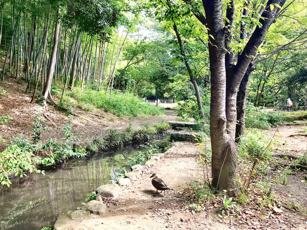 気になる街のご紹介【#横浜・都筑区】住みやすい街・港北ニュータウンの魅力とは？写真4