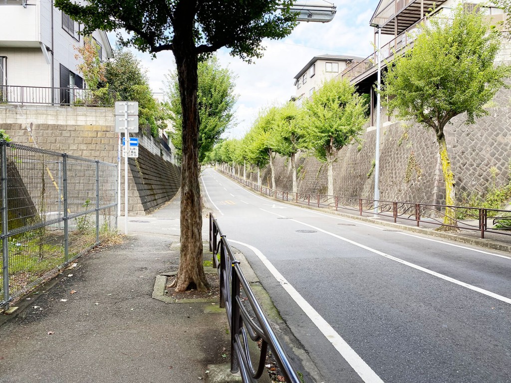 気になる街のご紹介【#川崎・鷺沼】再開発で注目エリア！東急田園都市線・鷺沼ってどんな街？ 写真2