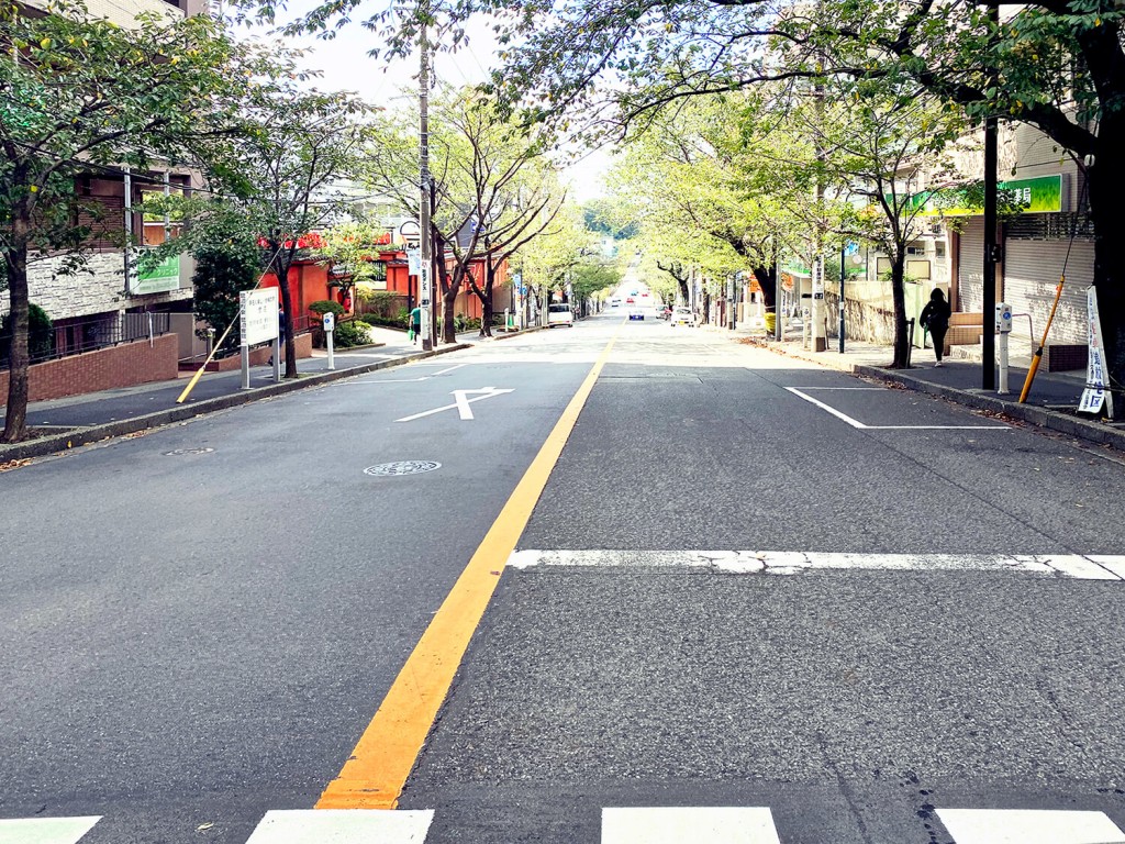 気になる街のご紹介【#川崎・鷺沼】再開発で注目エリア！東急田園都市線・鷺沼ってどんな街？ 写真4