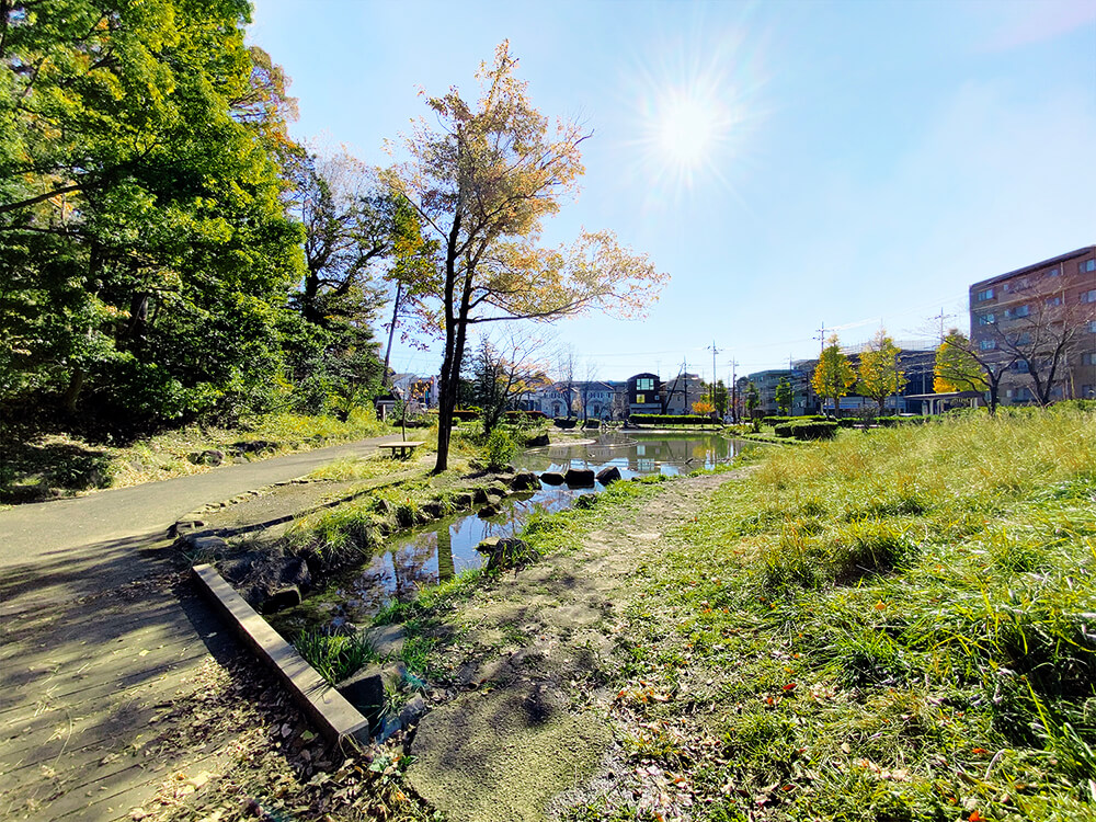 気になる街のご紹介【#横浜・青葉台】東急田園都市線・青葉台の住みやすさの秘密 写真8