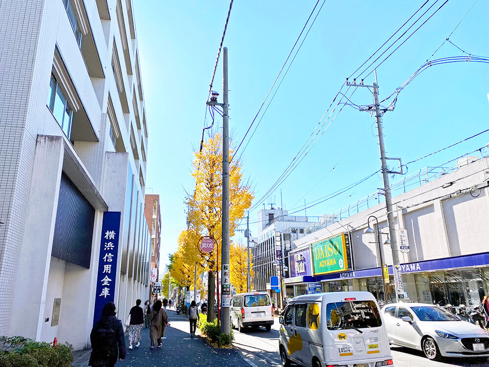 気になる街のご紹介【#横浜・青葉台】東急田園都市線・青葉台の住みやすさの秘密 写真2