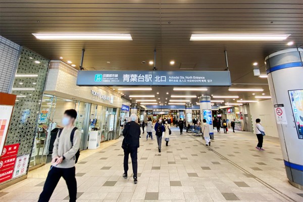 気になる街紹介【#横浜・青葉台】東急田園都市線・青葉台の住みやすさの秘密