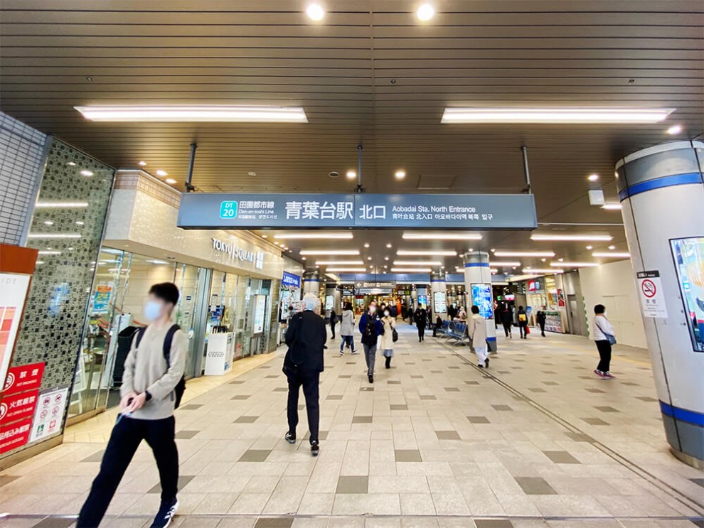 気になる店・街・場所「気になる街紹介【#横浜・青葉台】東急田園都市線・青葉台の住みやすさの秘密」