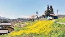 自然豊かな暮らし。長野県のおすすめスポットのご紹介／温泉・鬼無里のカフェ