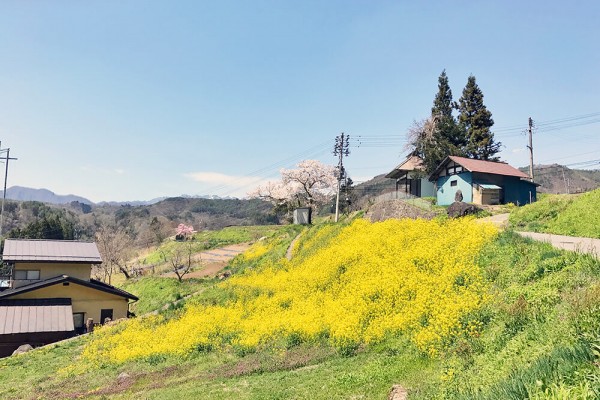 自然豊かな暮らし。長野県のおすすめスポットのご紹介／温泉・鬼無里のカフェ