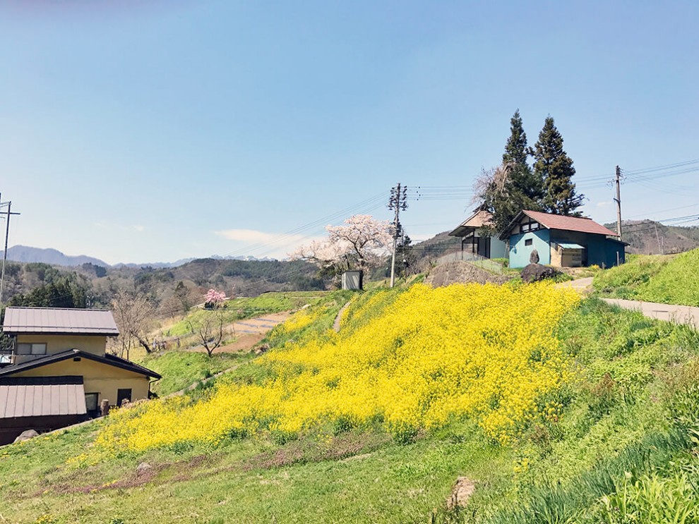 スタッフよもやま日記「自然豊かな暮らし。長野県のおすすめスポットのご紹介／温泉・鬼無里のカフェ」