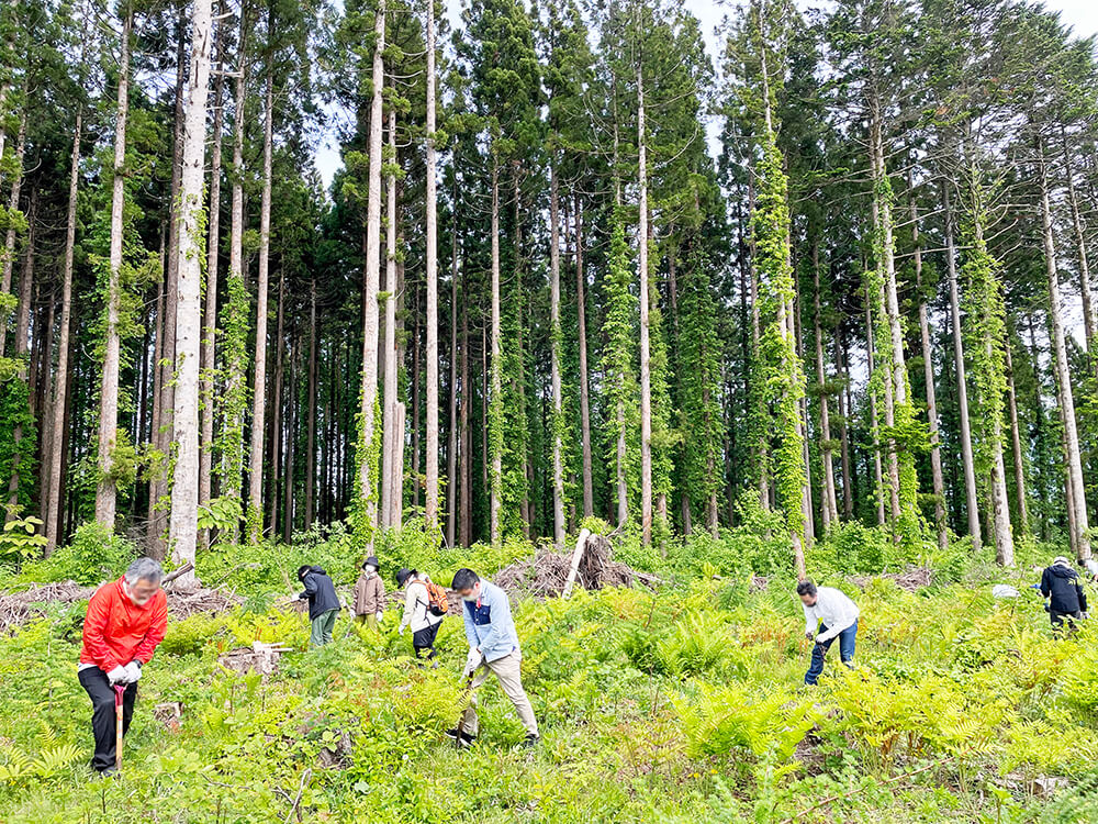 無垢フローリングのルーツを辿り北海道へ。研修レポート前編～植林体験～写真5