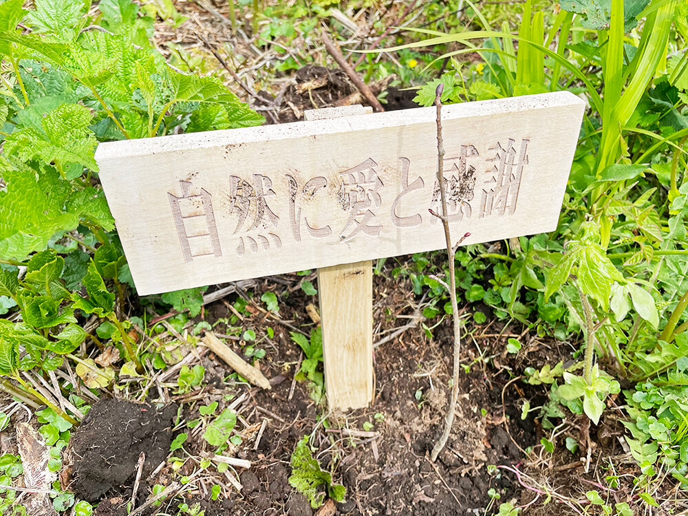 無垢フローリングのルーツを辿り北海道へ。研修レポート前編～植林体験～写真14