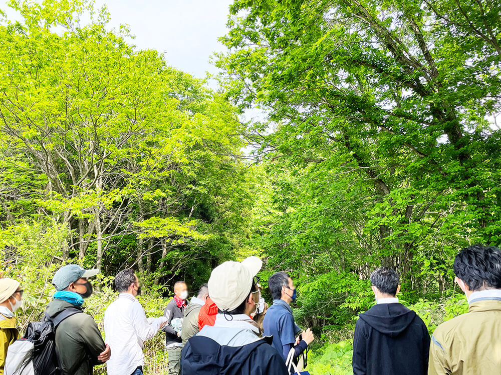 無垢フローリングのルーツを辿り北海道へ。研修レポート前編～植林体験～写真2