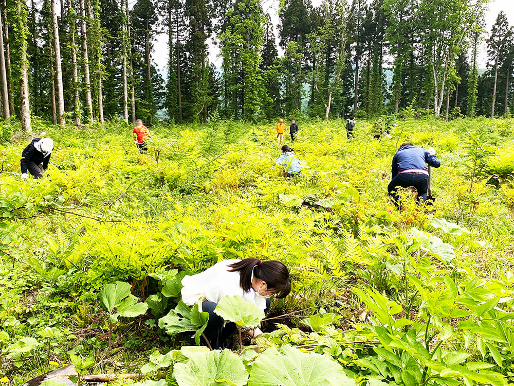 無垢フローリングのルーツを辿り北海道へ。研修レポート前編～植林体験～写真8