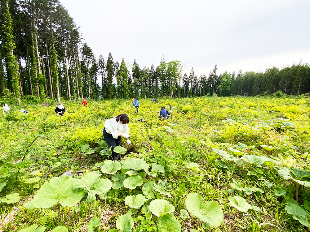 無垢フローリングのルーツを辿り北海道へ。研修レポート前編～植林体験～写真11
