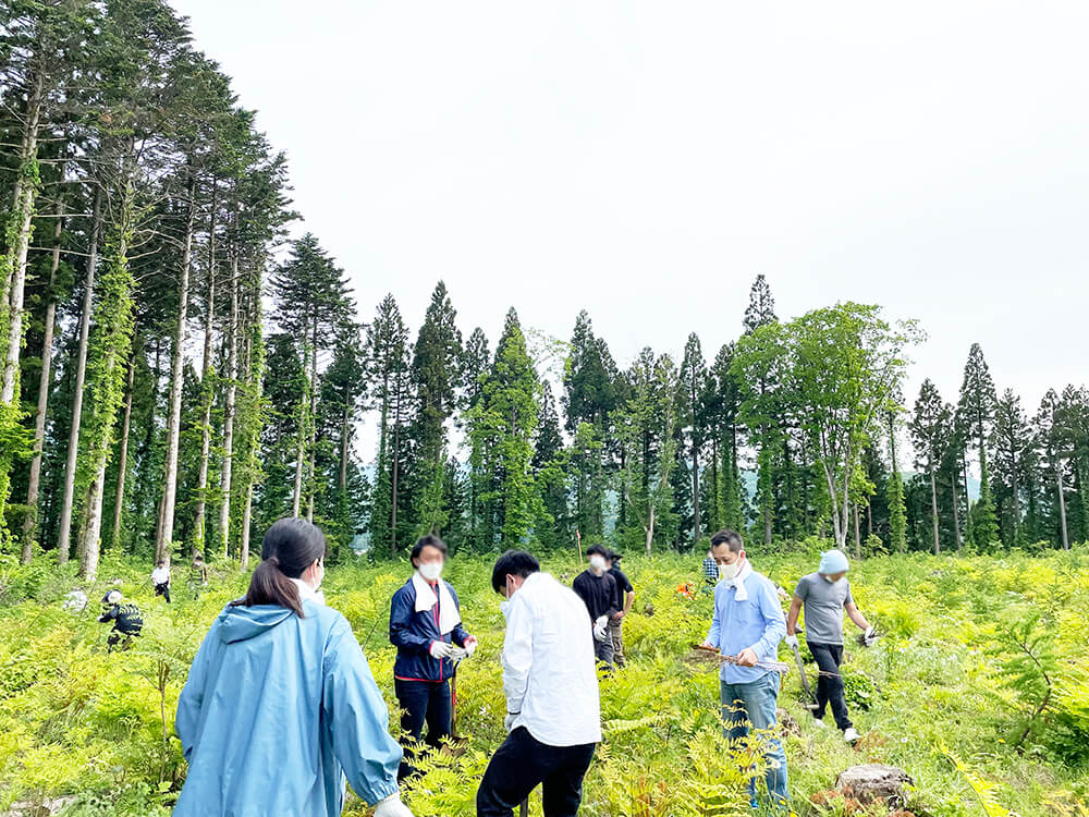 無垢フローリングのルーツを辿り北海道へ。研修レポート前編～植林体験～写真10