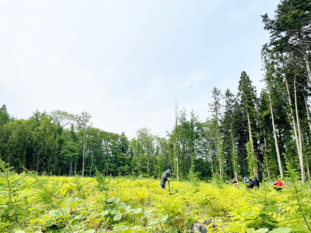 無垢フローリングのルーツを辿り北海道へ。研修レポート前編～植林体験～写真7