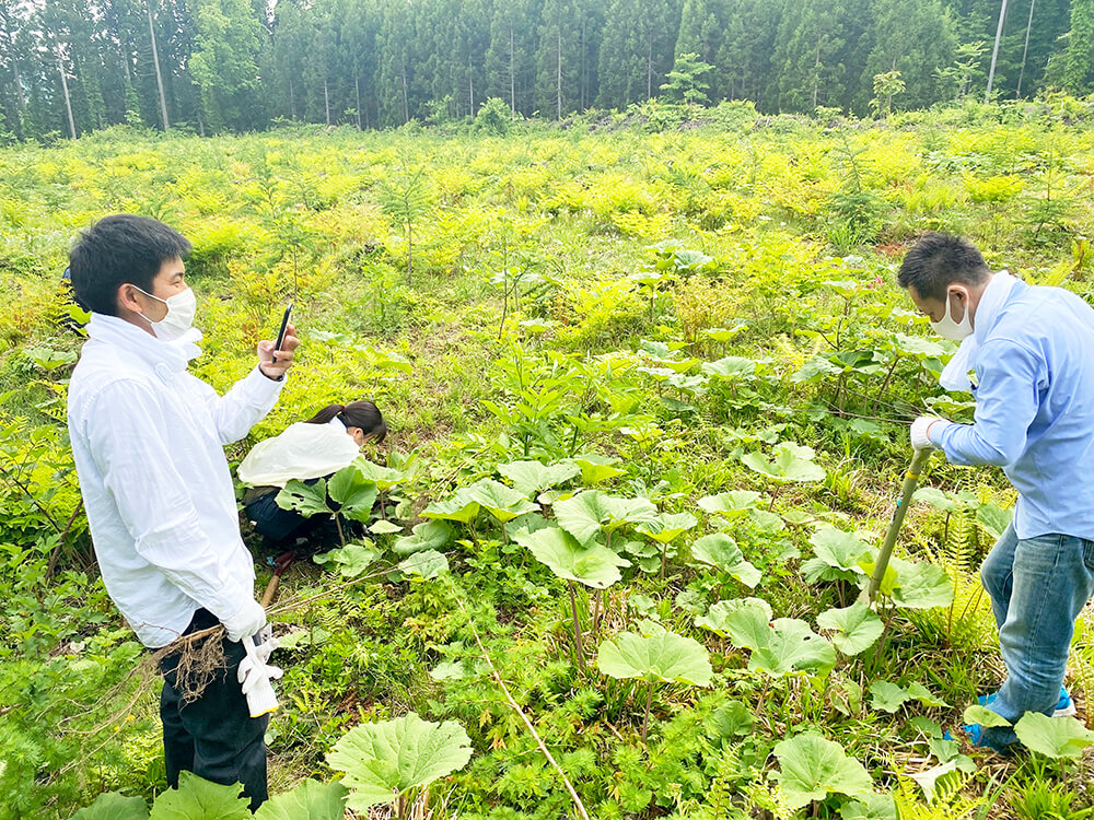 無垢フローリングのルーツを辿り北海道へ。研修レポート前編～植林体験～写真9