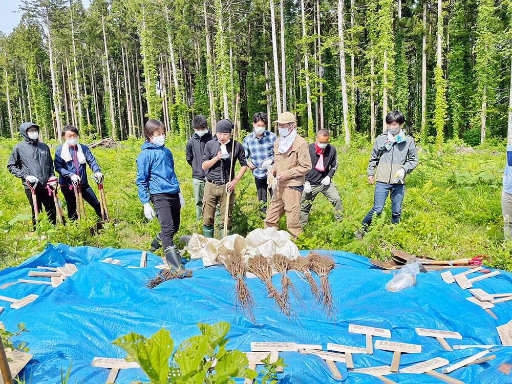 無垢フローリングのルーツを辿り北海道へ。研修レポート前編～植林体験～写真6