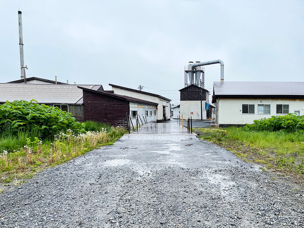 無垢フローリングのルーツを辿り北海道へ。 研修レポート後編 ～1本の木からフローリングがつくられるまでの話。～写真1