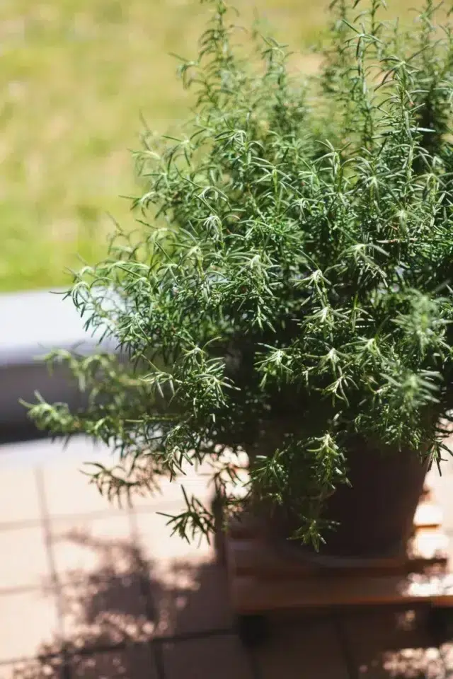 マンションリノベーション・リフォーム施工事例 神奈川県横浜市 S様「猫と、余白と、ふたりと。」 16