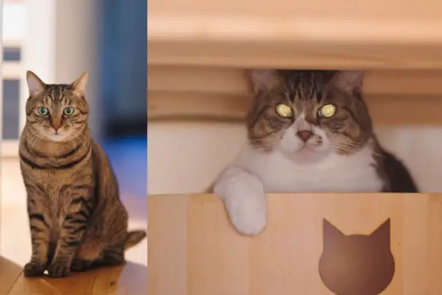 S様<!--様--> 夢工房と進めるリノベーションはいかがでしたか?