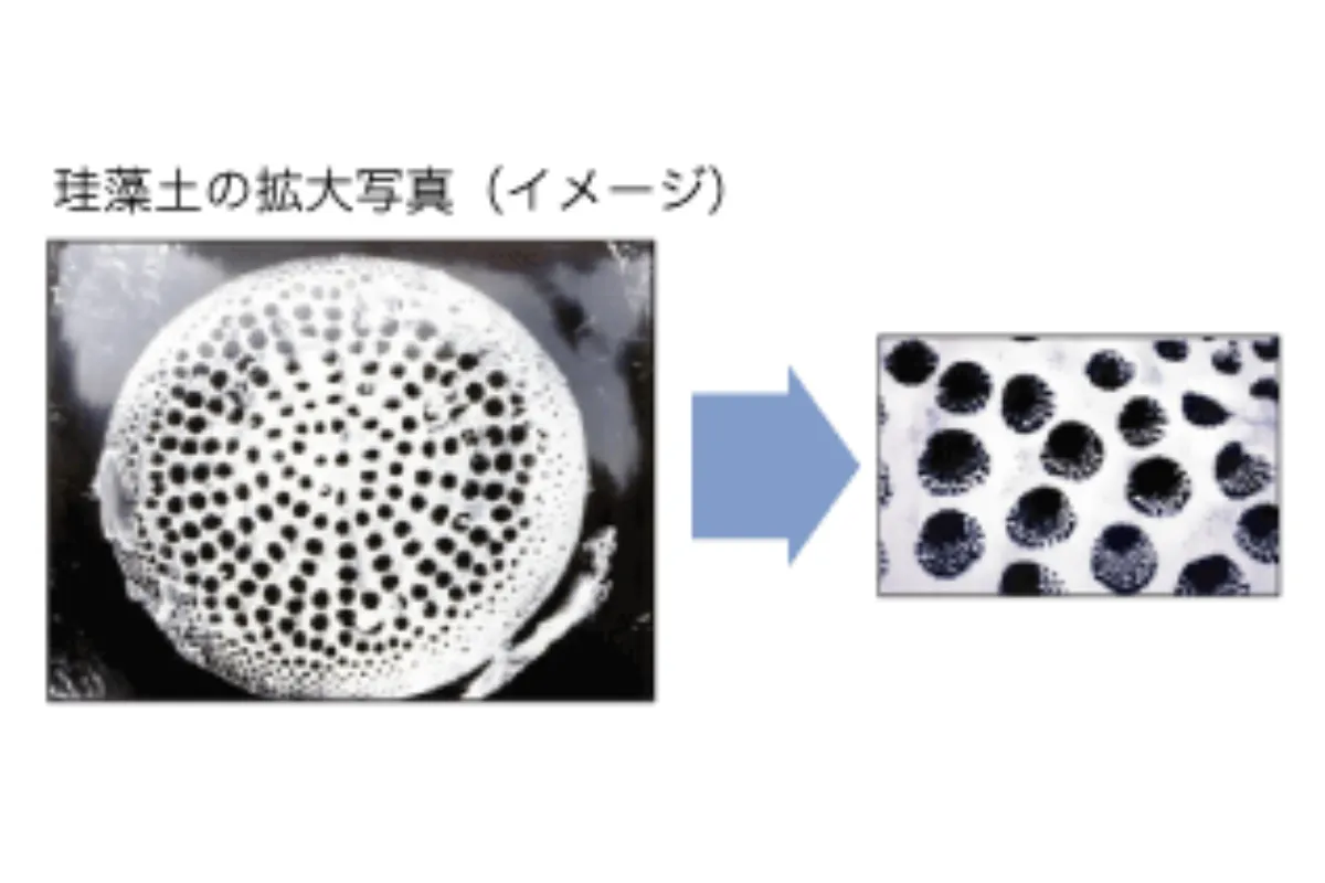 高機能塗り壁材「MPパウダー」の原料-珪藻土より画像引用
