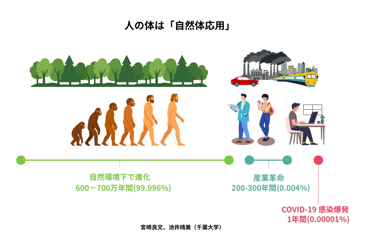 自然素材が落ち着く理由と人類の進化の過程
